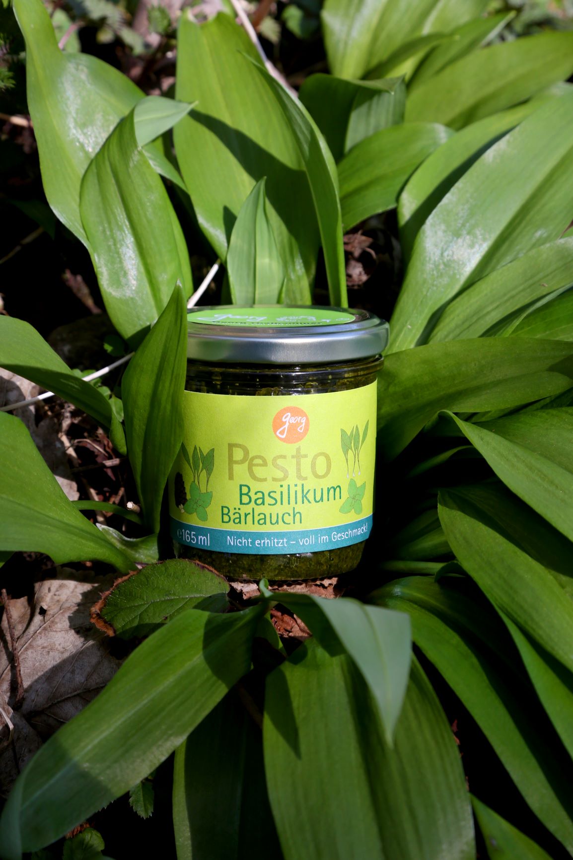 Pesto Basilikum - Bärlauch | Bio